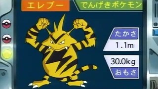 オーキド博士のポケモン講座(エレブー)