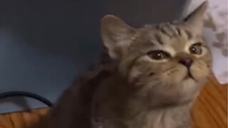 I think I smell something delicious—what are we eating!?