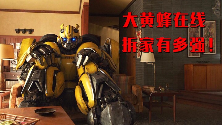 Lihat bagaimana Bumblebee menghancurkan rumah secara online. Bahkan Husky pun tak berani melakukanny