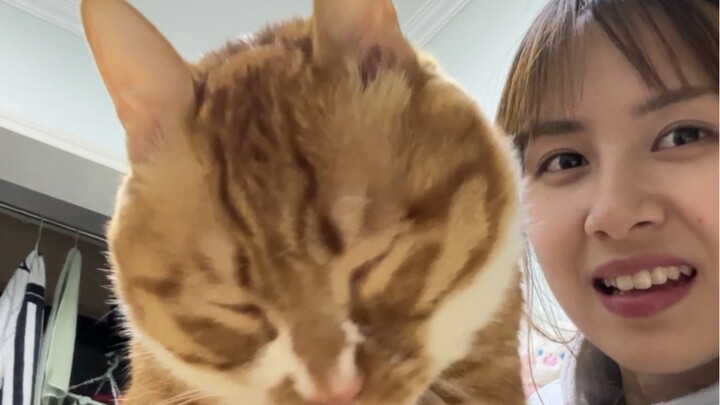 การล้างหน้าแบบดื่มด่ำกับไข่ม้วน