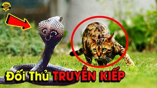 🔴8 Động Vật Siêu Nguy Hiểm Khiến Hổ Mang Chúa Phải Cong Đuôi Bỏ Chạy Khi Đối Đầu