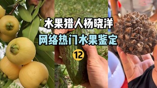 [ผลไม้ฮอนเตอร์ x ฮันเตอร์] การระบุผลไม้ยอดนิยมบนอินเทอร์เน็ต 12