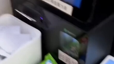 Palm-scanning payment