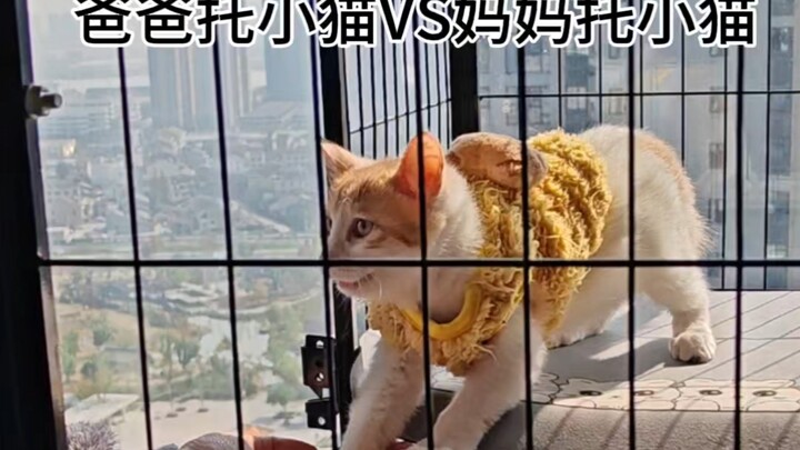 Kucing kecil itu benar-benar menganggapku sebagai ibunya, mempercayaiku.