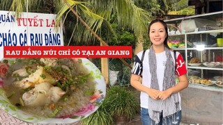 CHÁO RAU ĐẮNG NÚI - MÓN ĂN CHỈ CÓ TẠI AN GIANG | SONG HỶ VLOG