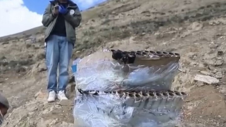 How infuriating! The damage is so severe!