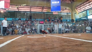 LGC 1st fight loss