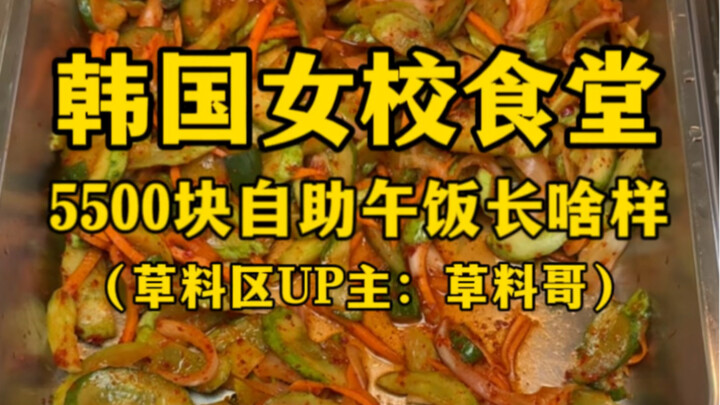 韩国女校食堂5500元自助午饭长啥样？（给我看看你们都吃啥呢呗？）