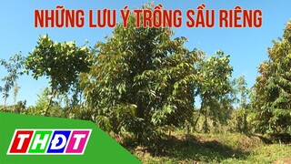 Những lưu ý khi trồng sầu riêng | Khuyến nông - 9/3/2021 | THDT