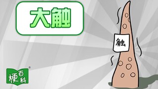 【梗百科】大触是啥梗？为什么可以代表技术高超的意思？