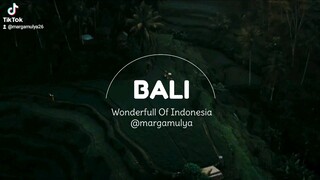 BALI The Wonderfull of Indonesia