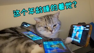 晚上差点被猫暗杀，无奈白天熬猫！