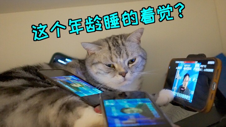 晚上差点被猫暗杀，无奈白天熬猫！