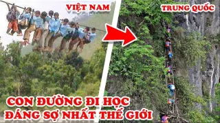 7 Con Đường Đi Học Đáng Sợ Nhất Thế Giới - Việt Nam TOP 1