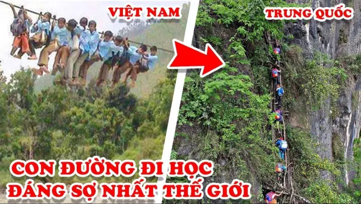 7 Con Đường Đi Học Đáng Sợ Nhất Thế Giới - Việt Nam TOP 1