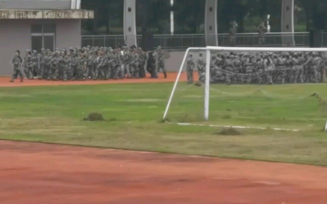 I also want to know—why is it that every year, during freshmen’s first month on campus, upperclassme