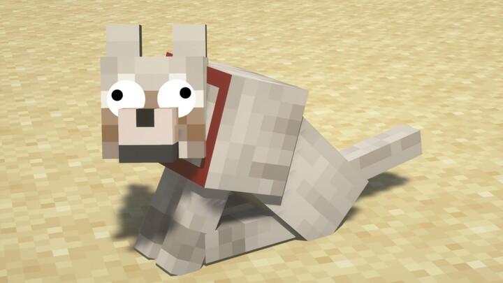 Silly Dog Survival