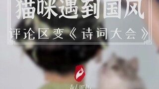 Mèo gặp phong cách Trung Hoa, bình luận nào cũng là nhà thơ, đúng là một "Đại hội Thơ ca Trung Quốc"