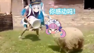 咩啊：这只夸羊羊真好玩！