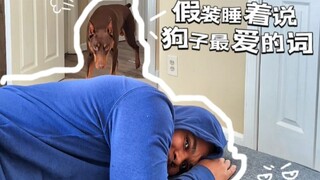 好样的布鲁斯！！