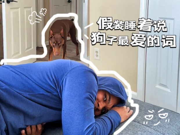 أحسنت يا بروس!!