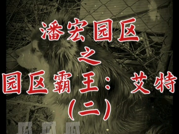 จักรพรรดิแห่งสวนอุตสาหกรรมพานหง: แอท (ตอนที่ 2)