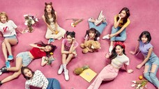 【TWICE】Dekripsi riwayat cinta Rabbit Gas