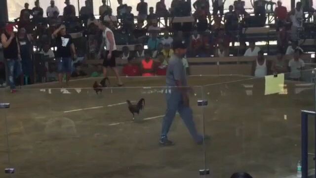 lieper hatch forda win