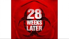 28 weeks later