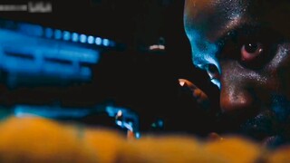 "Bất cứ ai cứu con chó của tôi, tôi sẽ trả ơn"