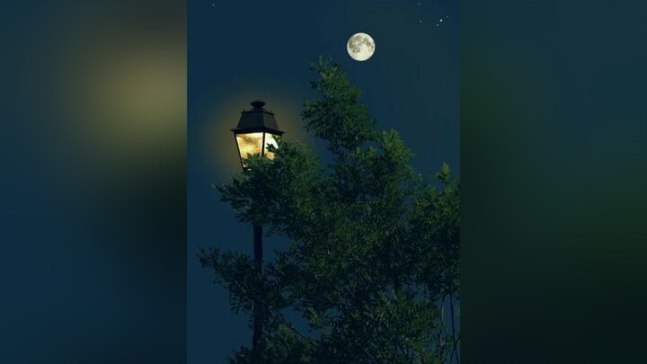 Good night relaxation relaxvideos sleep night moon beautiful fyp fypシ xyzbca viral sleepingrelaxing