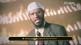 Stay Halal Brother
