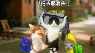 นี่ไม่ใช่การเติบโตที่คุณใฝ่ฝันมาตลอดหรอกเหรอ