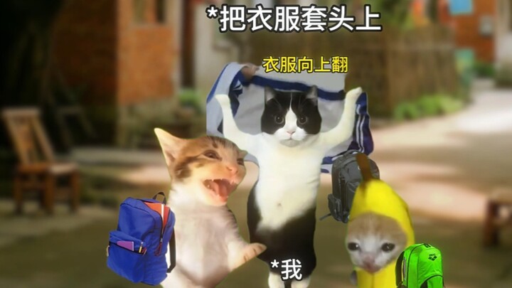 这不是你梦寐以求的长大吗