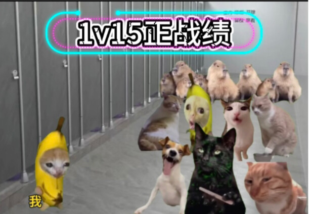 初中生1v15正战绩，官方可查