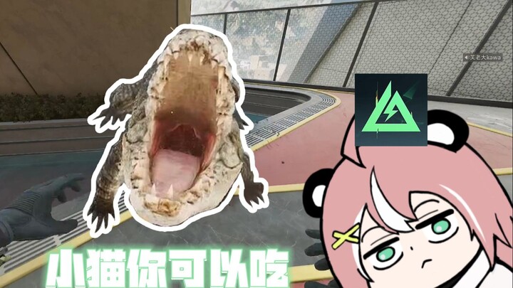 👊拦个男的折磨【三角洲】
