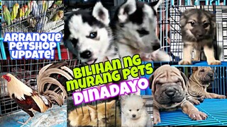 TULOY TULOY sa BAGSAK PREYSONG mga PETS KAYA DINADAYO ITO,arranque petshop update