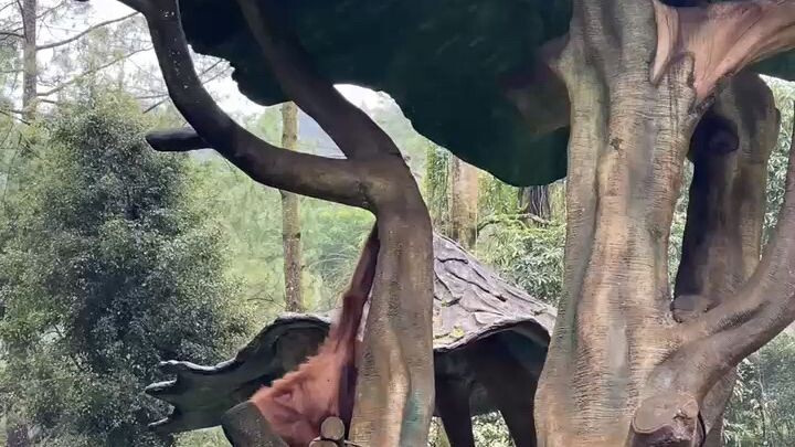 Kebun Binatang Taman Safari Indonesia