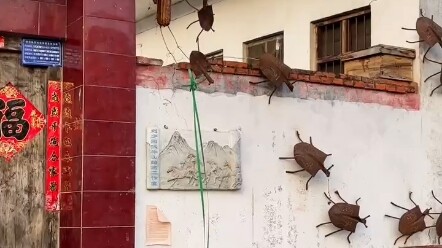 The homeowner’s mental state is way ahead of the curve!