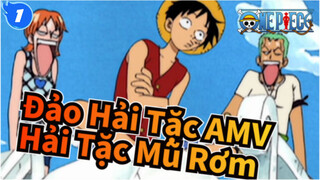 [Đảo Hải Tặc AMV] Chuyện hài hước thường ngày của Hải Tặc Mũ Rơm / Chương Biển Đông (5)_1