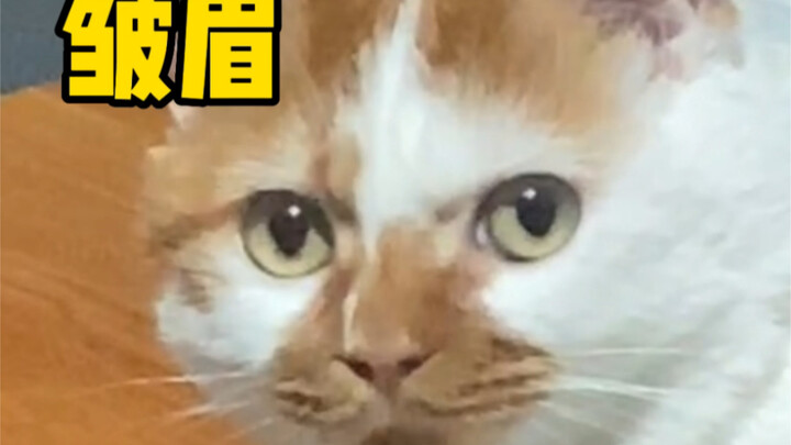 รำลึกความคลาสสิก | เมื่อฉันมีวันหยุดนานเกินสี่วัน