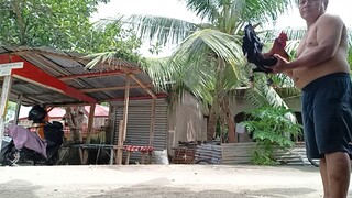 testingan balik atong buktot nga 1x winner kung pwede paba