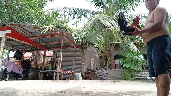 testingan balik atong buktot nga 1x winner kung pwede paba