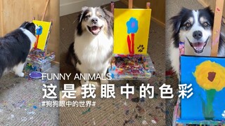 A dog that can draw brings the world from her perspective to her owner!