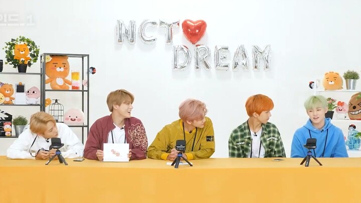 [New Culture Technology Institute] 190120 NCT DREAM: Unreleased Highlights from the Thrilling Fan Si