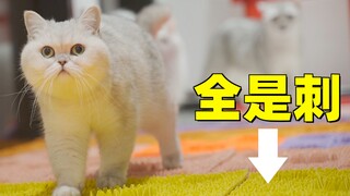 If there is a thorny acupressure mat on the ground, can the kitten pass through it smoothly?