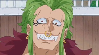 Large double standard male Bartolomeo