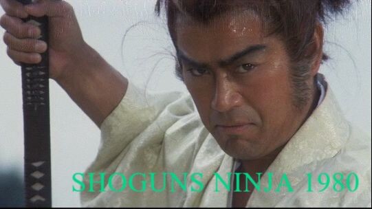 Shoguns Ninja 1980 Full Movie