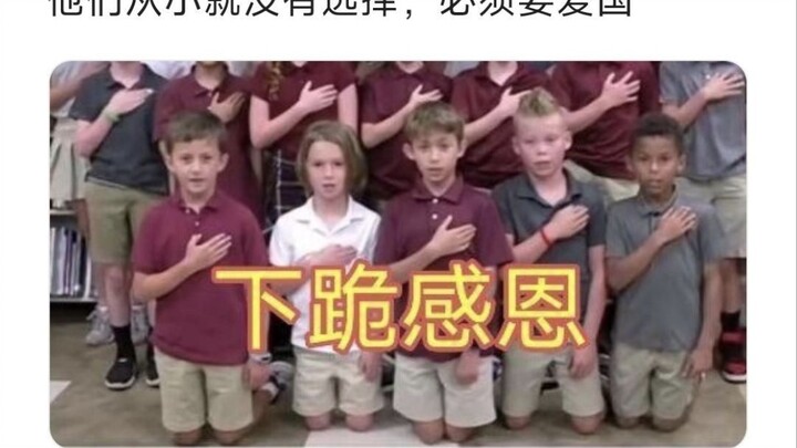 Mèo Mỹ lông ngắn công khai: Đây chính là những cô nàng “khóa chữ U” theo chủ nghĩa dân tộc cực đoan,