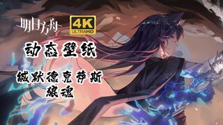 【明日方舟 动态壁纸】缄默德克萨斯 狼魂